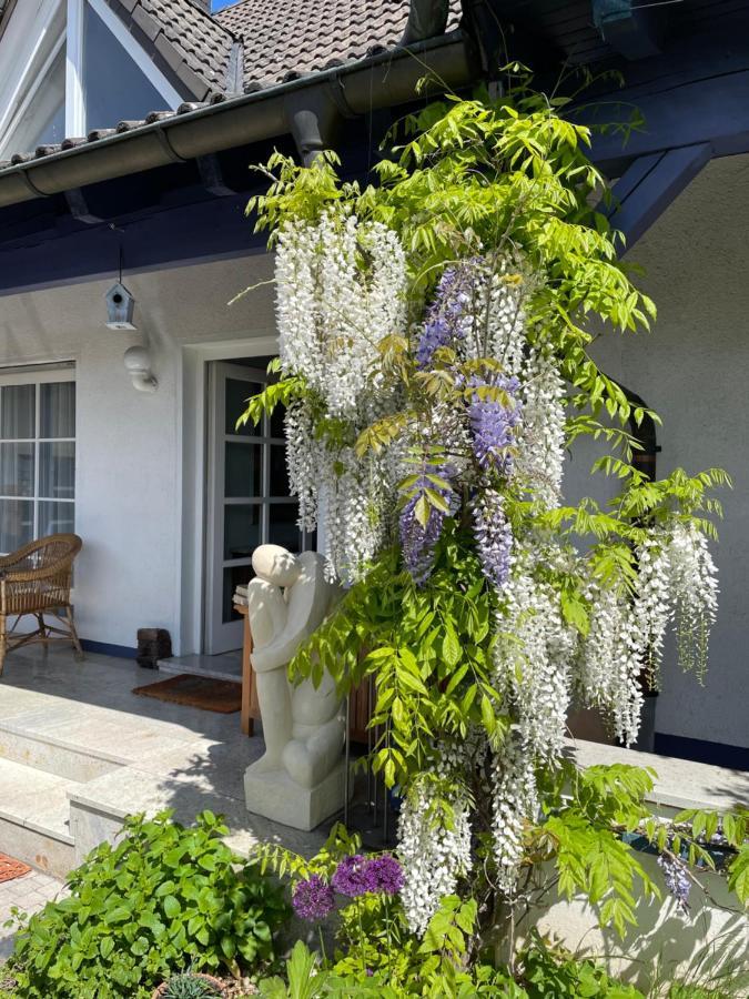 Gaensebluemchen 2 Apartment Daisy 2 Walsdorf  Bagian luar foto
